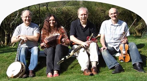 flying toads band